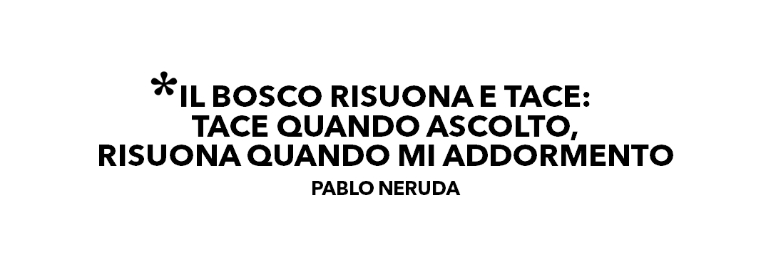 bosco pablo neruda